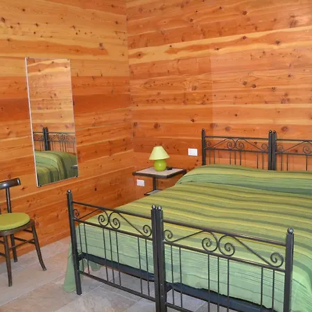 L'albero E Le Stelle