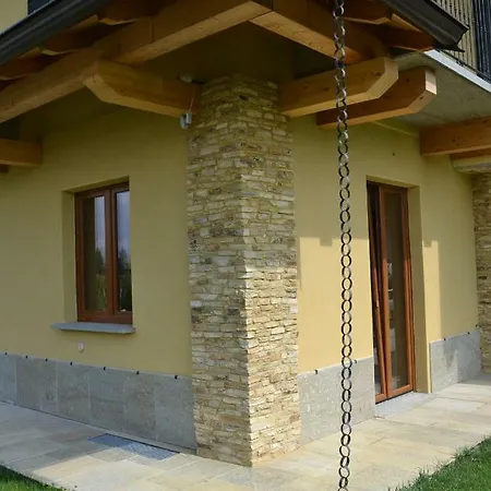 L'albero E Le Stelle