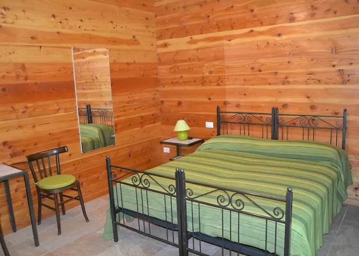 L'albero E Le Stelle