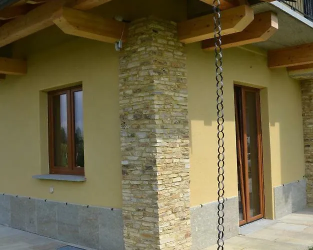 L'albero E Le Stelle